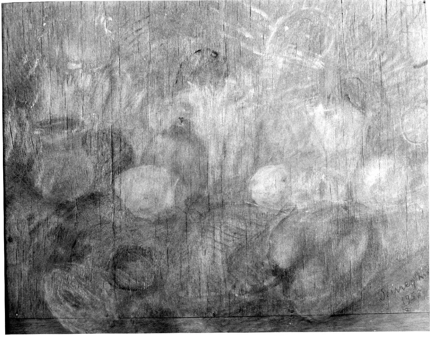 Peperone rosso - Galleria d'Arte Moderna Palazzo Forti, Verona